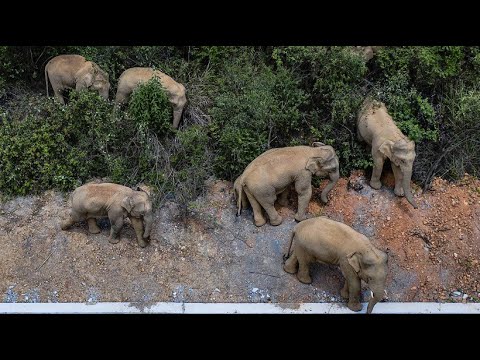 Wie Kann Ich Schnell Und Einfach Geld Verdienen? 2021