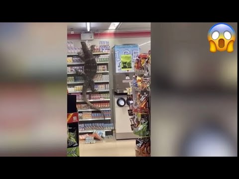 Wie Kann Ich Schnell Und Einfach Geld Verdienen? 2021